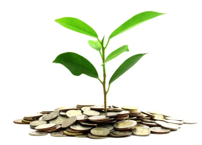 Инвестиции SKF в сохранение экологии | Свежие новости в Нижнем Новгороде