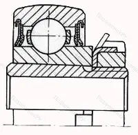 Модификация подшипника 1680205А1С27 размер 25x62x18/31 от производителя  ГПЗ-20